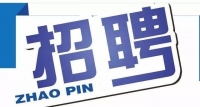 岱岳區(qū)政務(wù)服務(wù)中心招人啦！大專以上學歷，即日起報名